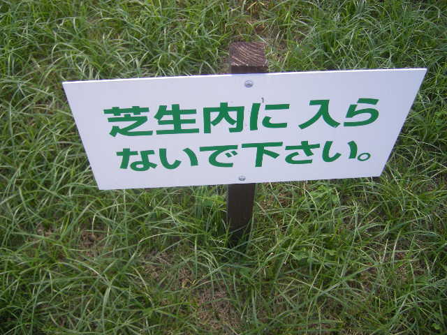 grass-in-nobeoka.jpg